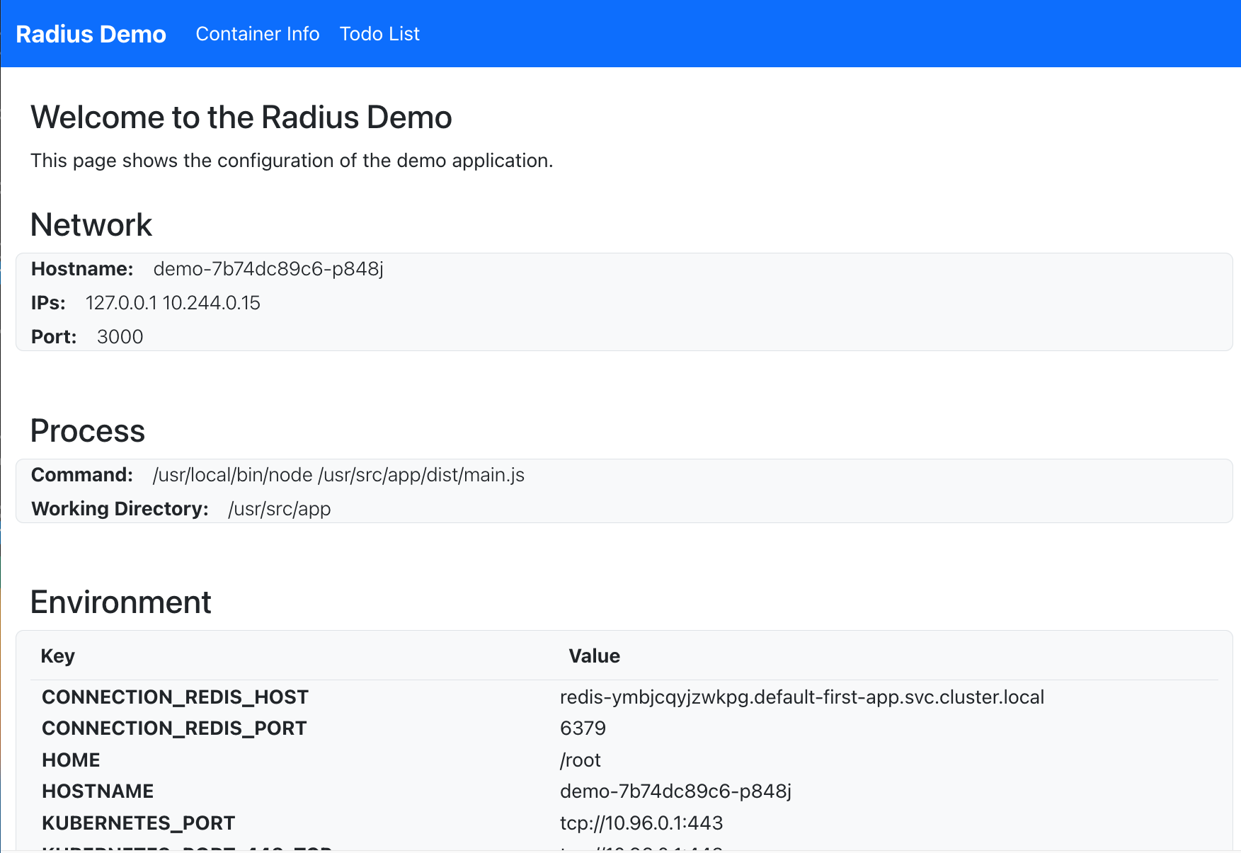 Screenshot of the demo container